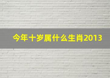 今年十岁属什么生肖2013