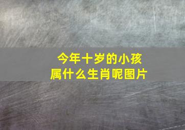 今年十岁的小孩属什么生肖呢图片