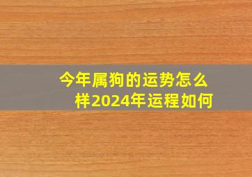 今年属狗的运势怎么样2024年运程如何