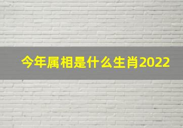 今年属相是什么生肖2022