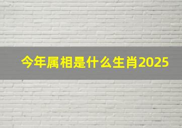 今年属相是什么生肖2025