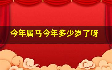 今年属马今年多少岁了呀