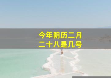 今年阴历二月二十八是几号