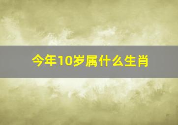 今年10岁属什么生肖