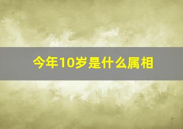 今年10岁是什么属相