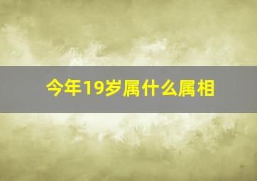 今年19岁属什么属相