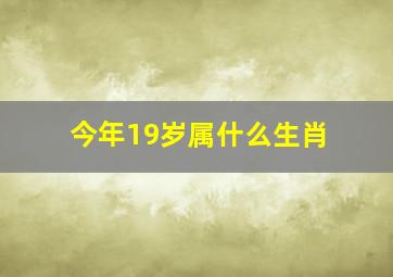 今年19岁属什么生肖