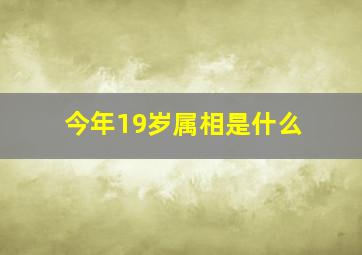 今年19岁属相是什么