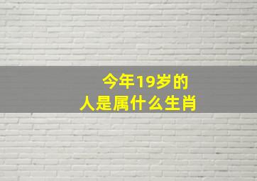 今年19岁的人是属什么生肖