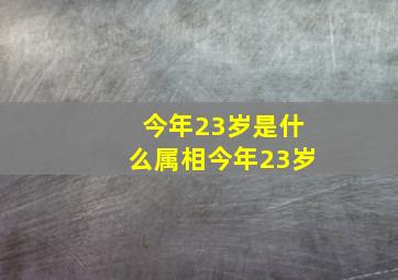 今年23岁是什么属相今年23岁