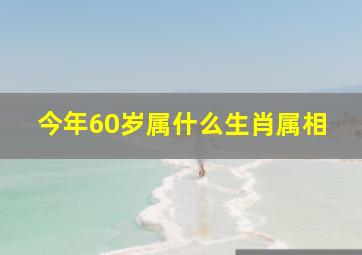 今年60岁属什么生肖属相