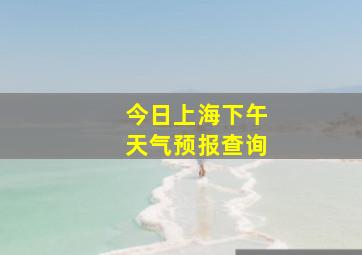 今日上海下午天气预报查询