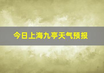 今日上海九亭天气预报