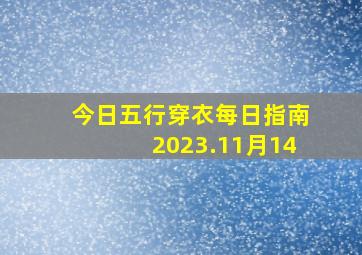 今日五行穿衣每日指南2023.11月14