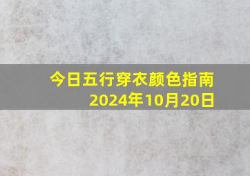 今日五行穿衣颜色指南2024年10月20日