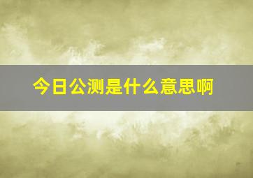 今日公测是什么意思啊