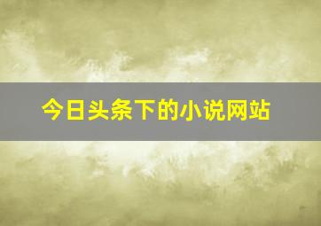 今日头条下的小说网站