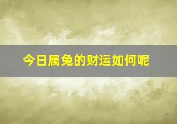 今日属兔的财运如何呢