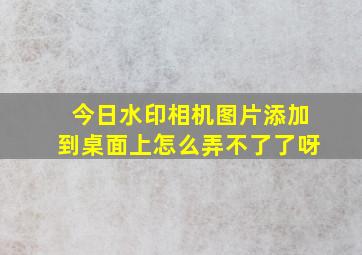 今日水印相机图片添加到桌面上怎么弄不了了呀