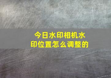 今日水印相机水印位置怎么调整的