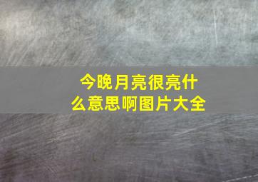 今晚月亮很亮什么意思啊图片大全