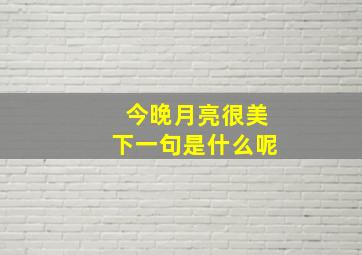 今晚月亮很美下一句是什么呢