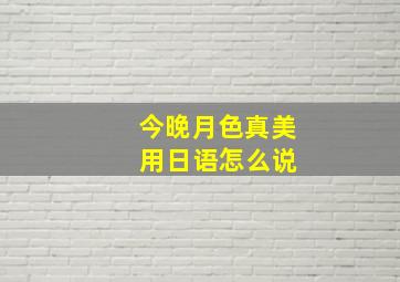 今晚月色真美 用日语怎么说