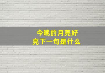 今晚的月亮好亮下一句是什么