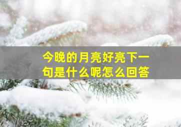 今晚的月亮好亮下一句是什么呢怎么回答