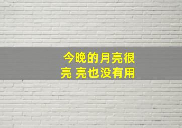 今晚的月亮很亮 亮也没有用