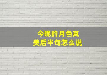 今晚的月色真美后半句怎么说