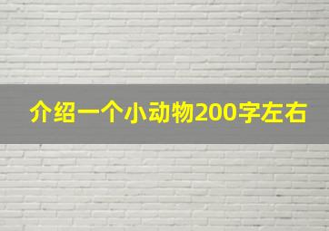 介绍一个小动物200字左右