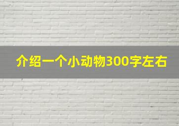 介绍一个小动物300字左右