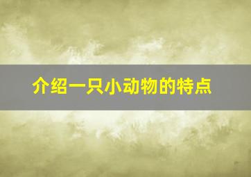 介绍一只小动物的特点