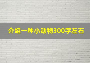 介绍一种小动物300字左右