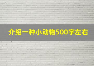 介绍一种小动物500字左右