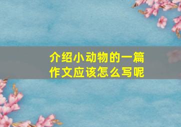 介绍小动物的一篇作文应该怎么写呢