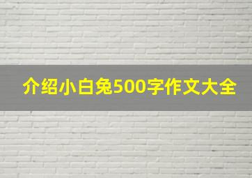 介绍小白兔500字作文大全