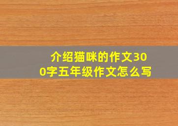 介绍猫咪的作文300字五年级作文怎么写