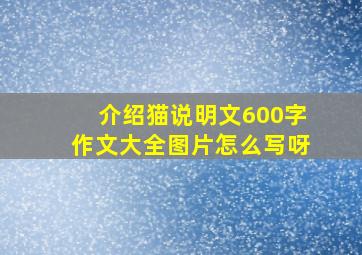 介绍猫说明文600字作文大全图片怎么写呀