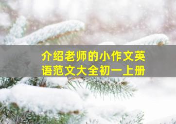 介绍老师的小作文英语范文大全初一上册