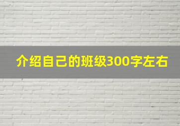 介绍自己的班级300字左右