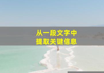 从一段文字中提取关键信息