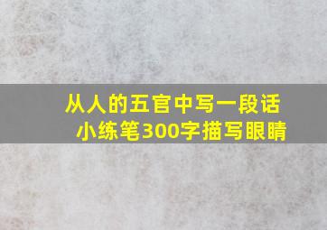 从人的五官中写一段话小练笔300字描写眼睛