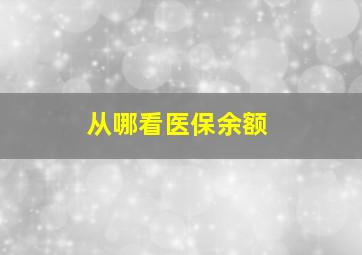 从哪看医保余额