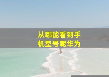 从哪能看到手机型号呢华为