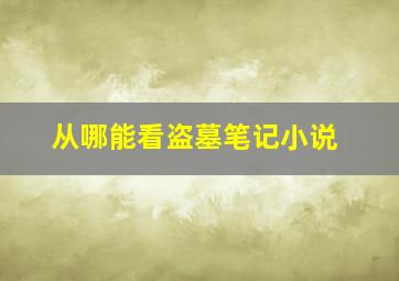 从哪能看盗墓笔记小说