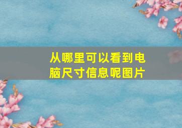 从哪里可以看到电脑尺寸信息呢图片