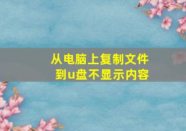 从电脑上复制文件到u盘不显示内容