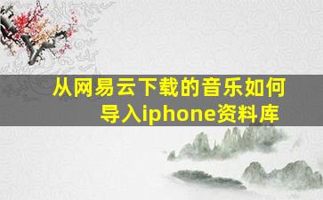 从网易云下载的音乐如何导入iphone资料库